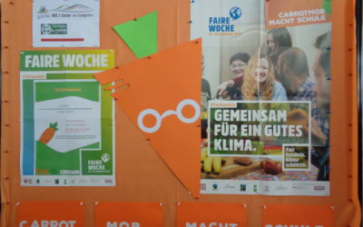 KLIMASCHUTZ TRIFFT FAIREN HANDEL: CARROTMOB NUMMER 2 IN GOSLAR